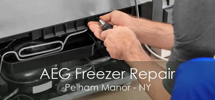 AEG Freezer Repair Pelham Manor - NY