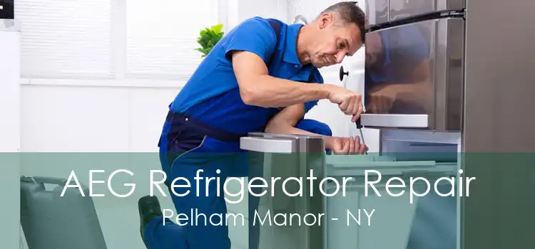 AEG Refrigerator Repair Pelham Manor - NY