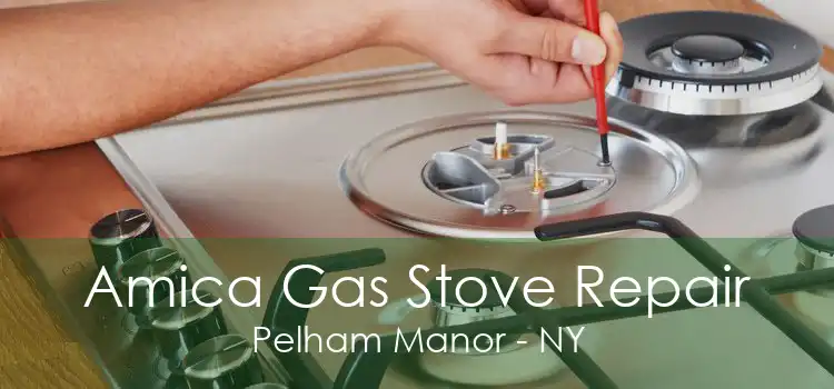 Amica Gas Stove Repair Pelham Manor - NY