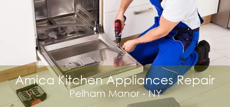 Amica Kitchen Appliances Repair Pelham Manor - NY