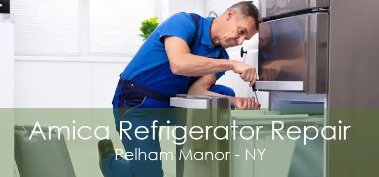 Amica Refrigerator Repair Pelham Manor - NY