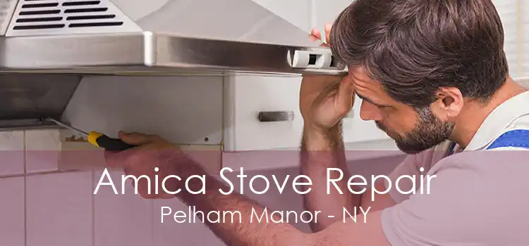 Amica Stove Repair Pelham Manor - NY