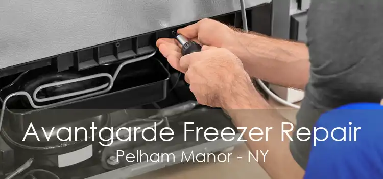 Avantgarde Freezer Repair Pelham Manor - NY