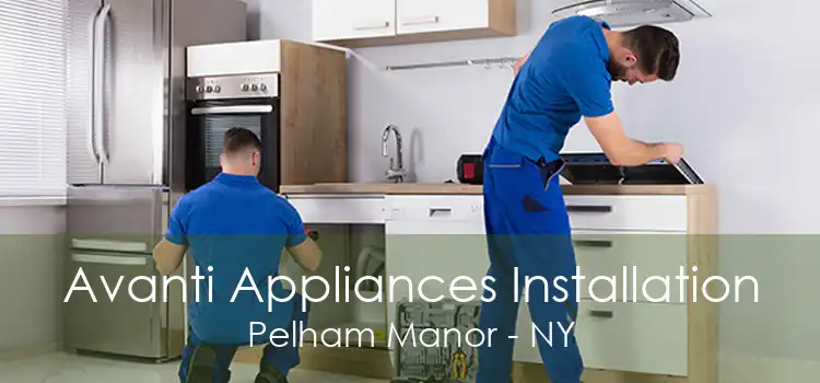 Avanti Appliances Installation Pelham Manor - NY