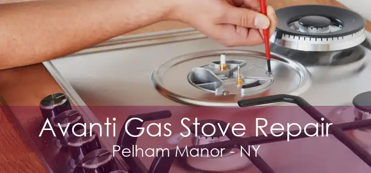 Avanti Gas Stove Repair Pelham Manor - NY
