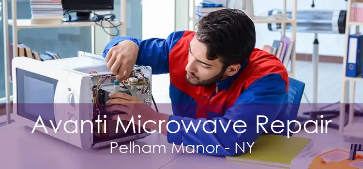 Avanti Microwave Repair Pelham Manor - NY