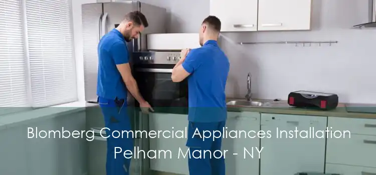 Blomberg Commercial Appliances Installation Pelham Manor - NY