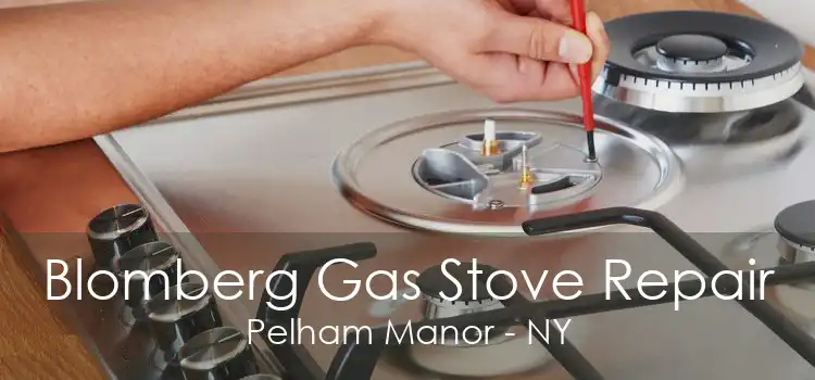 Blomberg Gas Stove Repair Pelham Manor - NY