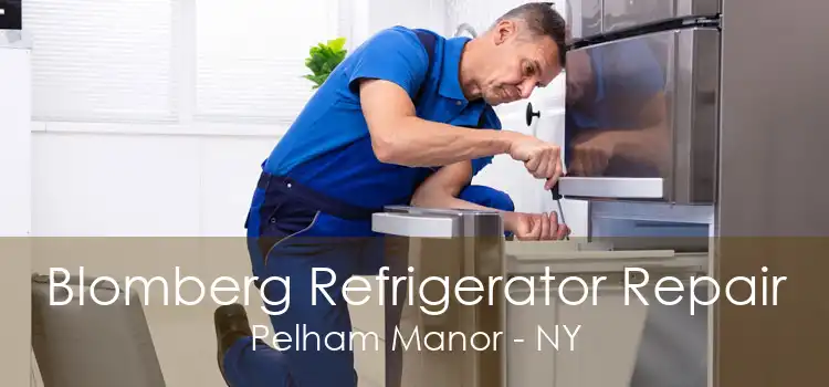 Blomberg Refrigerator Repair Pelham Manor - NY