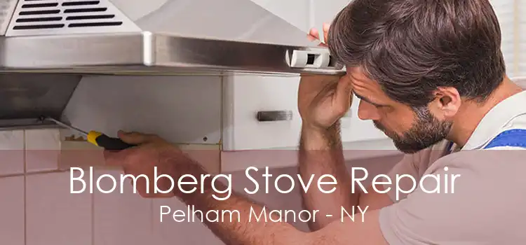Blomberg Stove Repair Pelham Manor - NY