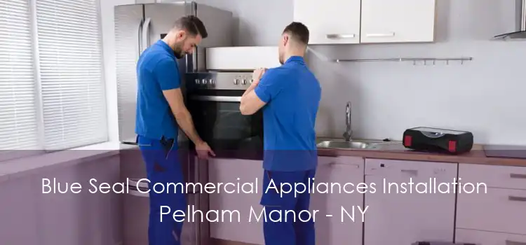 Blue Seal Commercial Appliances Installation Pelham Manor - NY
