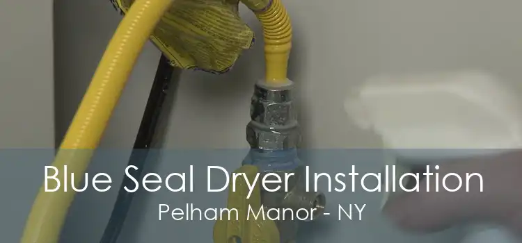 Blue Seal Dryer Installation Pelham Manor - NY