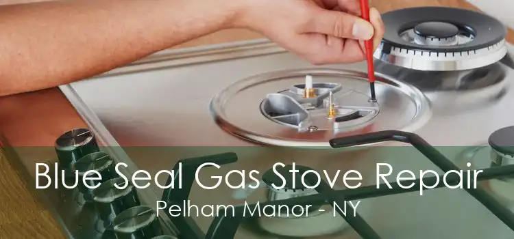 Blue Seal Gas Stove Repair Pelham Manor - NY