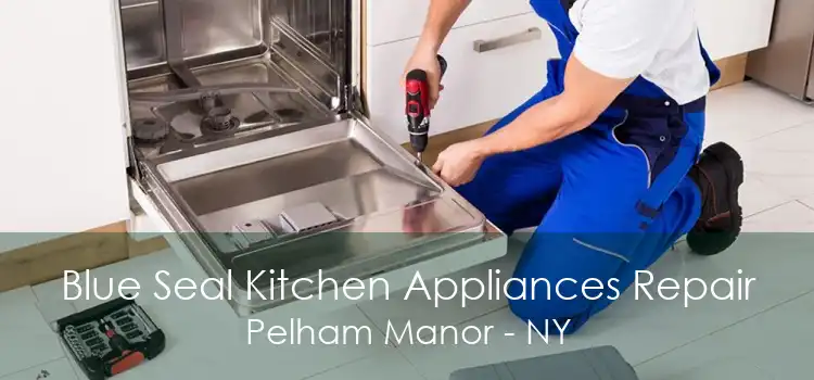 Blue Seal Kitchen Appliances Repair Pelham Manor - NY