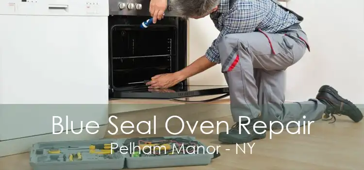 Blue Seal Oven Repair Pelham Manor - NY