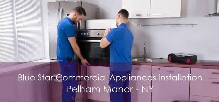 Blue Star Commercial Appliances Installation Pelham Manor - NY