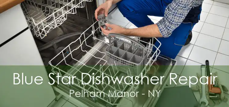 Blue Star Dishwasher Repair Pelham Manor - NY