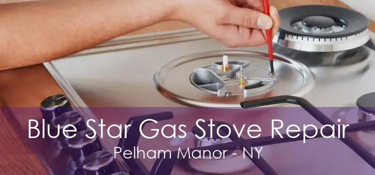 Blue Star Gas Stove Repair Pelham Manor - NY