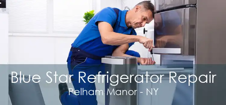 Blue Star Refrigerator Repair Pelham Manor - NY
