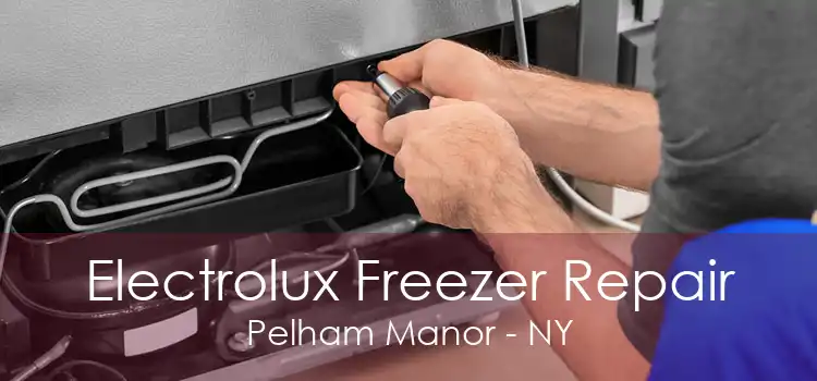 Electrolux Freezer Repair Pelham Manor - NY