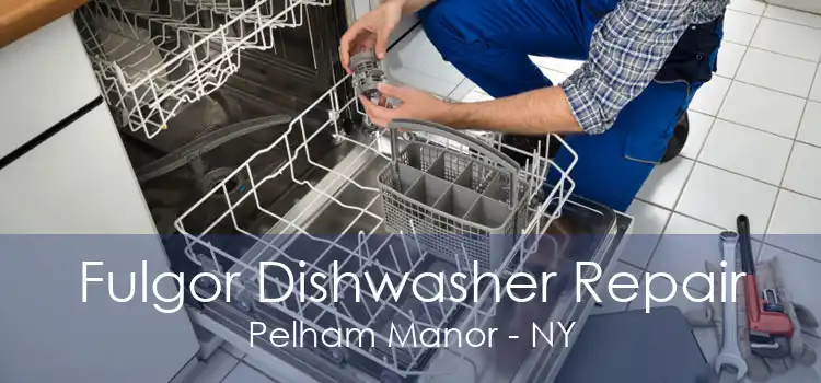 Fulgor Dishwasher Repair Pelham Manor - NY