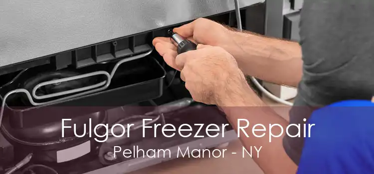 Fulgor Freezer Repair Pelham Manor - NY