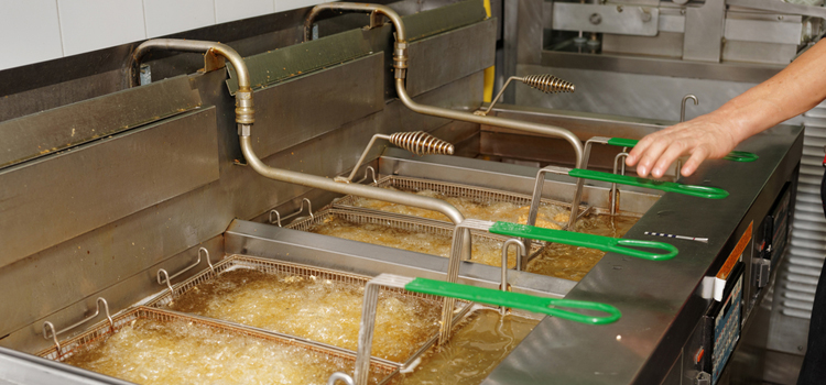 Signature Commercial Fryer Repair in Pelham Manor, NY