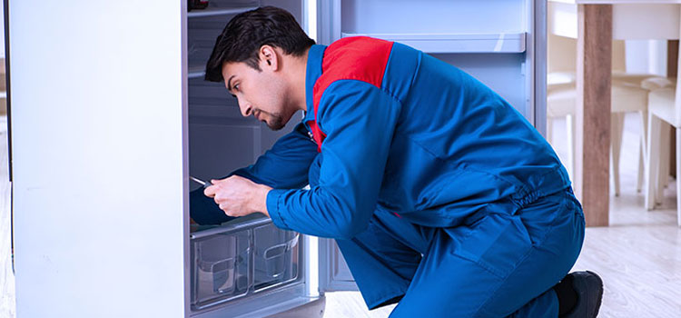 Signature Freezer Repair Services in Pelham Manor, New York