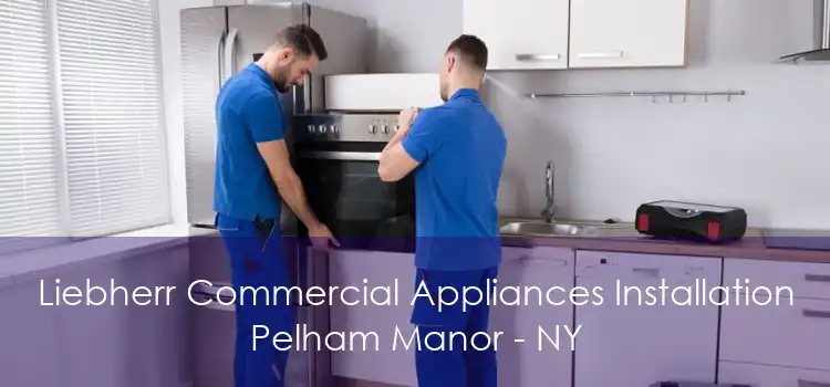 Liebherr Commercial Appliances Installation Pelham Manor - NY