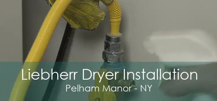 Liebherr Dryer Installation Pelham Manor - NY