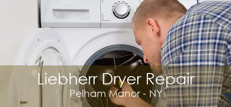 Liebherr Dryer Repair Pelham Manor - NY