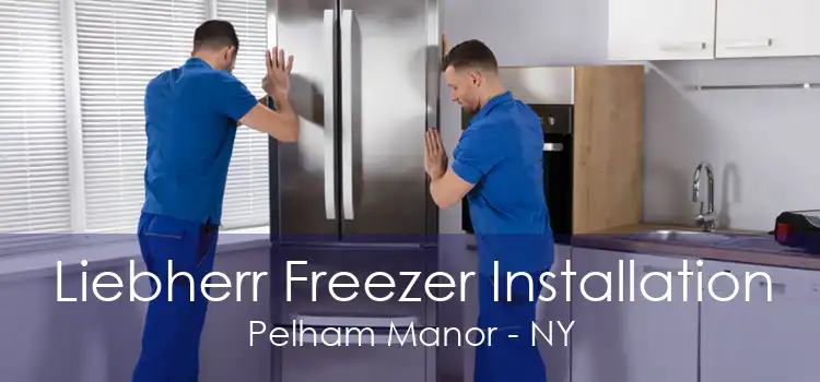 Liebherr Freezer Installation Pelham Manor - NY