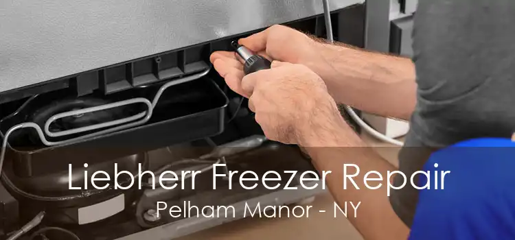 Liebherr Freezer Repair Pelham Manor - NY