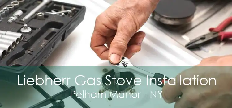 Liebherr Gas Stove Installation Pelham Manor - NY