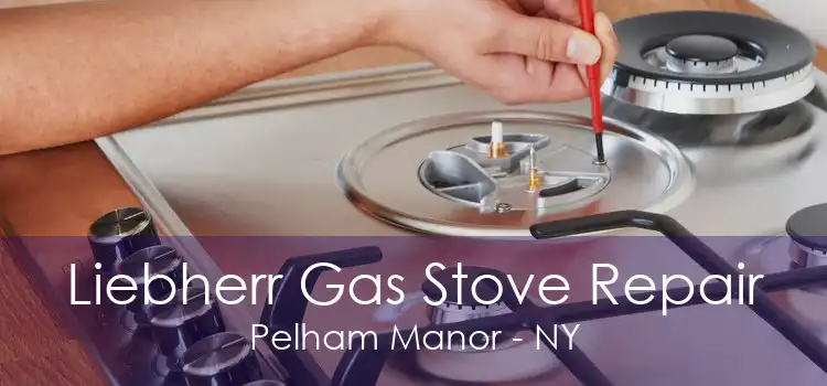 Liebherr Gas Stove Repair Pelham Manor - NY