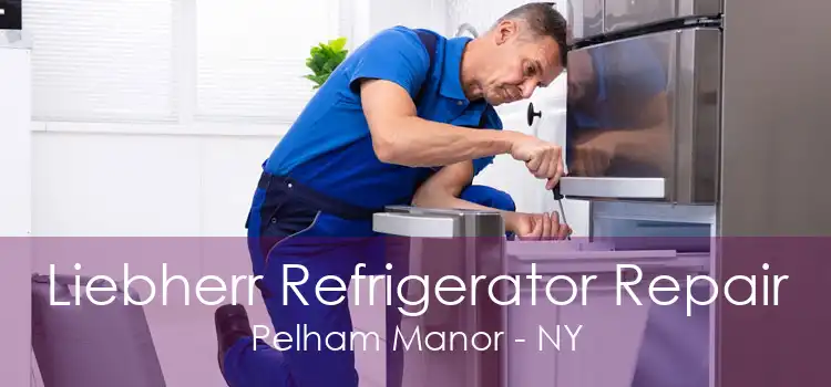 Liebherr Refrigerator Repair Pelham Manor - NY