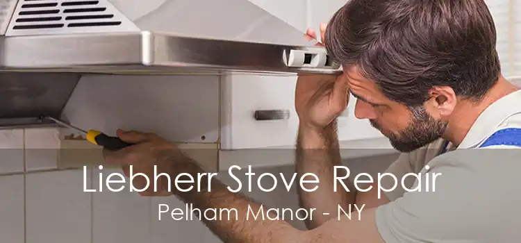 Liebherr Stove Repair Pelham Manor - NY