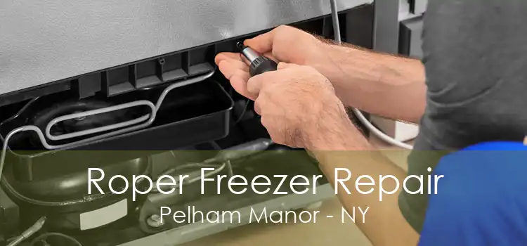 Roper Freezer Repair Pelham Manor - NY