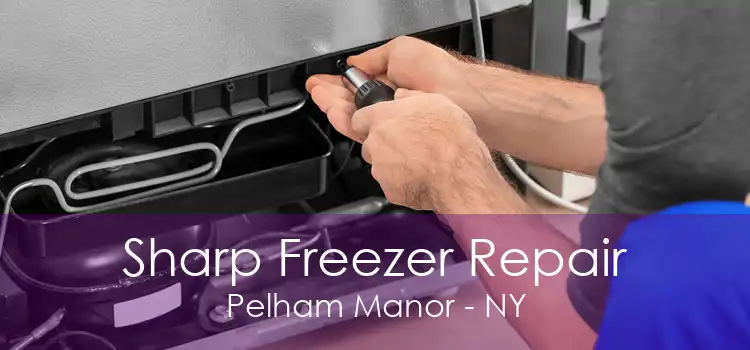 Sharp Freezer Repair Pelham Manor - NY