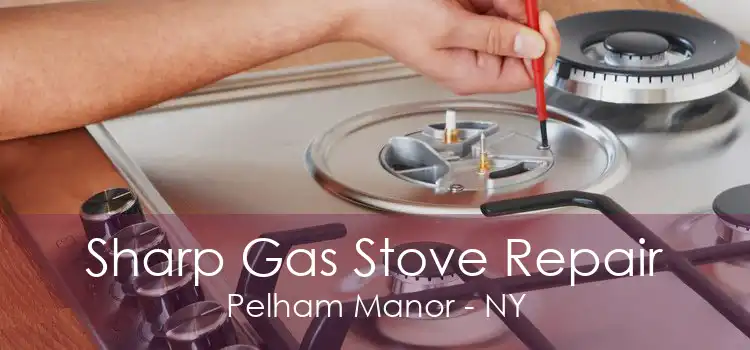 Sharp Gas Stove Repair Pelham Manor - NY