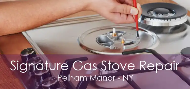 Signature Gas Stove Repair Pelham Manor - NY
