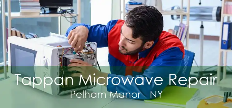 Tappan Microwave Repair Pelham Manor - NY