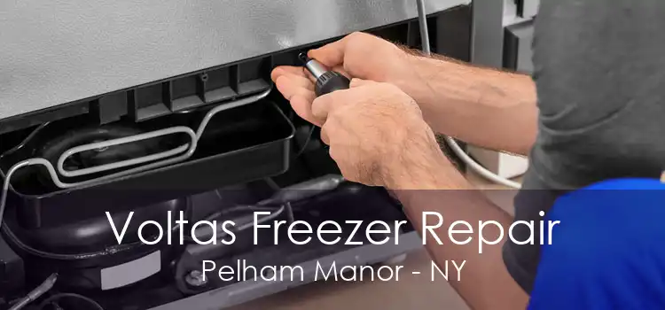 Voltas Freezer Repair Pelham Manor - NY