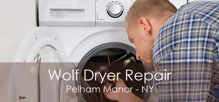 Wolf Dryer Repair Pelham Manor - NY