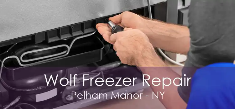 Wolf Freezer Repair Pelham Manor - NY